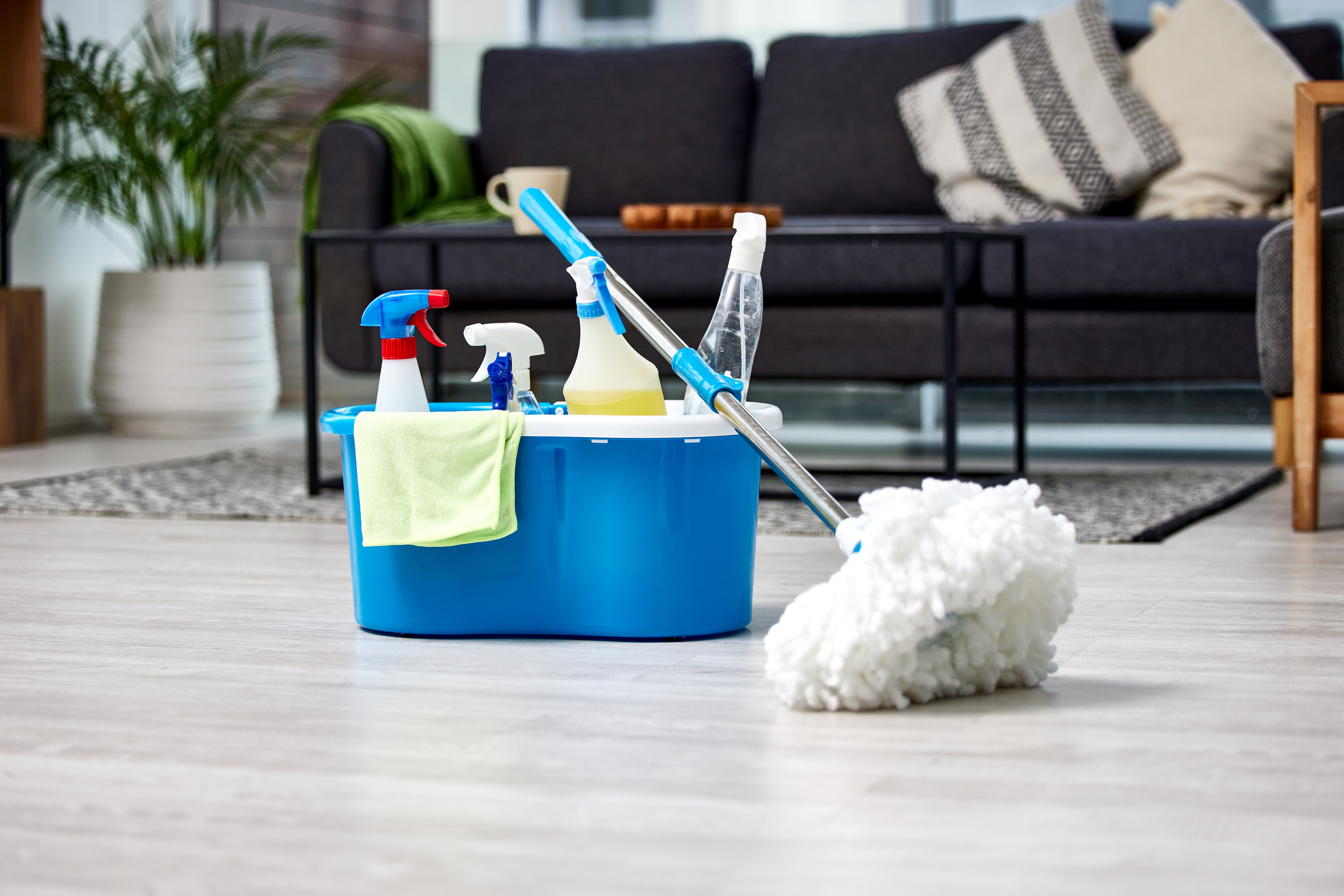 Why Choose Our Cleaning Company